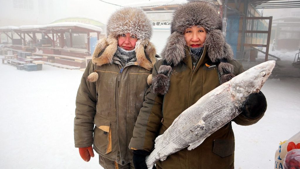   Dras: द्रास है दुनिया का दूसरा सबसे ठंडा शहर! जानें क्यों है यह कश्मीर का छिपा हुआ हीरा है