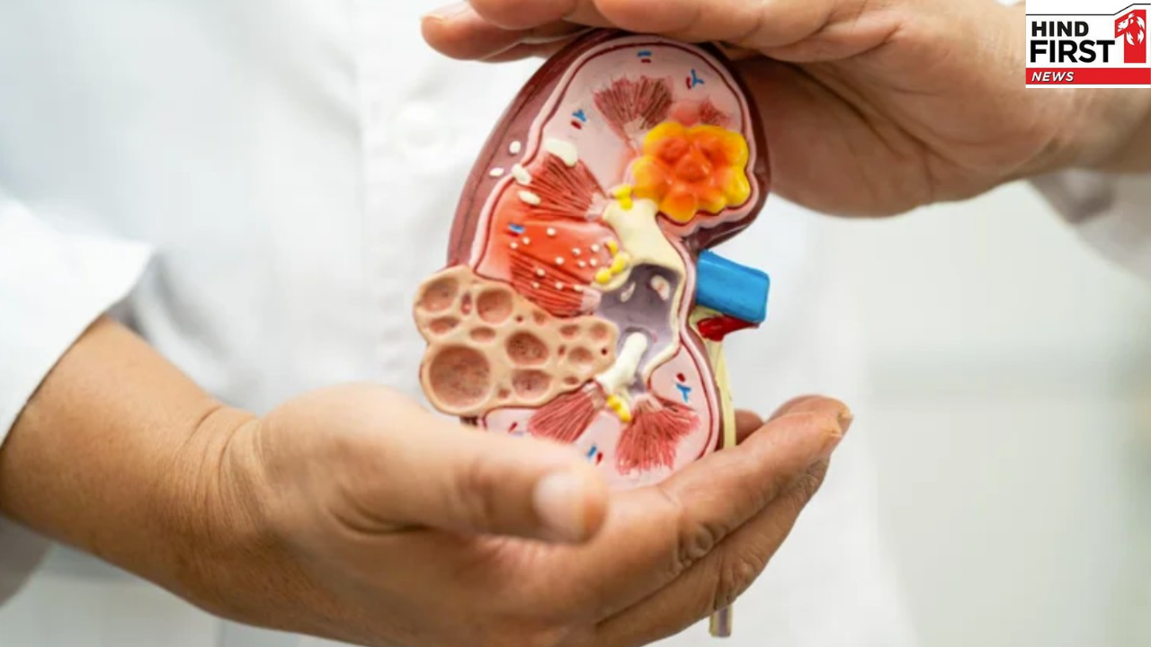 Kidney Disease Detection: किडनी की बीमारी का जल्दी पता लगाने के लिए करवाएं ये 4 आसान टेस्ट