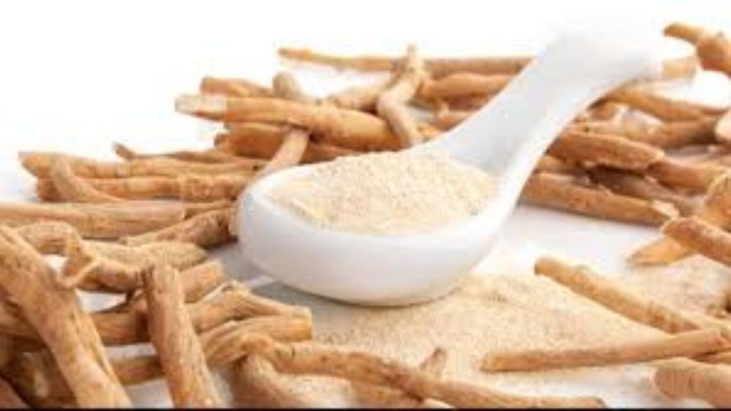   Ashwagandha Benefits: अश्वगंधा दिलाता है जोड़ों के दर्द से राहत, जानिए इसके फायदे 