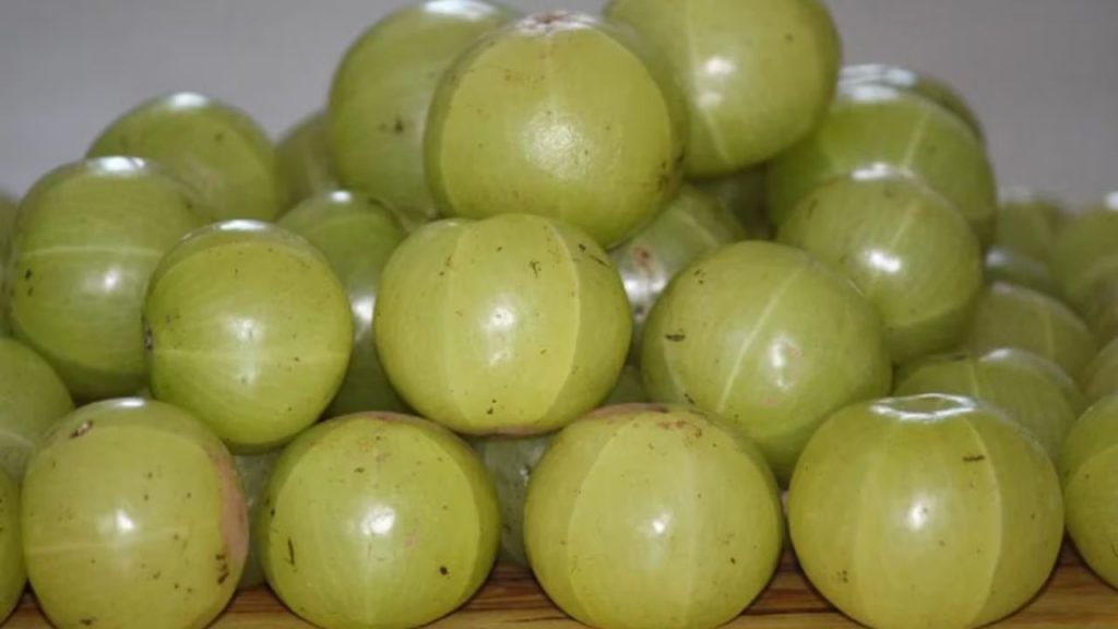   Amla Benefits: ठंड के मौसम में खुद को रखना हैं स्वस्थ, तो रोज़ जरूर खाएं आवंला 