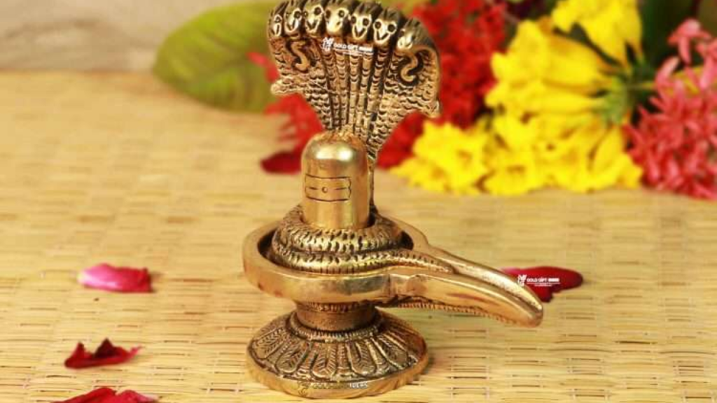 Shivling Rules: घर में रखें है शिवलिंग तो जान लीजिये उसके पूरे नियम अन्यथा चढ़ेगा पाप   