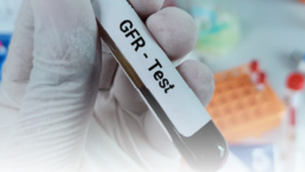 Kidney Disease Detection: किडनी की बीमारी का जल्दी पता लगाने के लिए करवाएं ये 4 आसान टेस्ट  