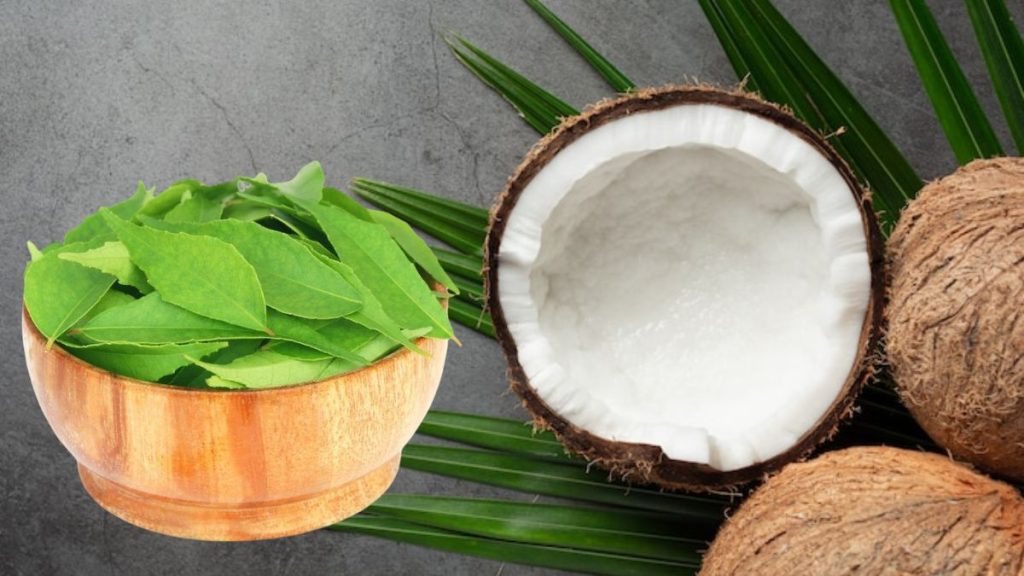 Hair Care Tips: बेजान पड़ें बालों में जान डालने के लिए अपनाएं ये 5 घरेलू नुस्खें