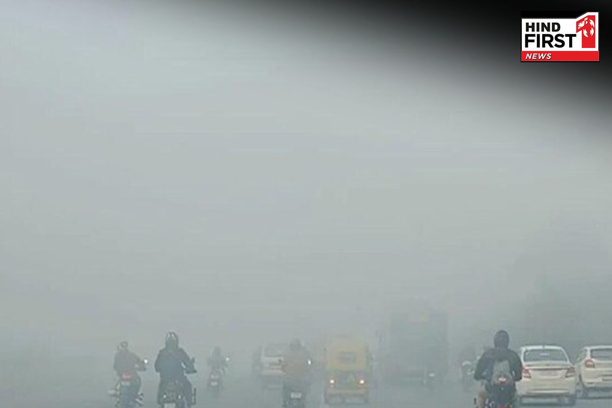 उत्तर भारत में ठंड का कहर, शीतलहर और कोहरे से जनजीवन प्रभावित