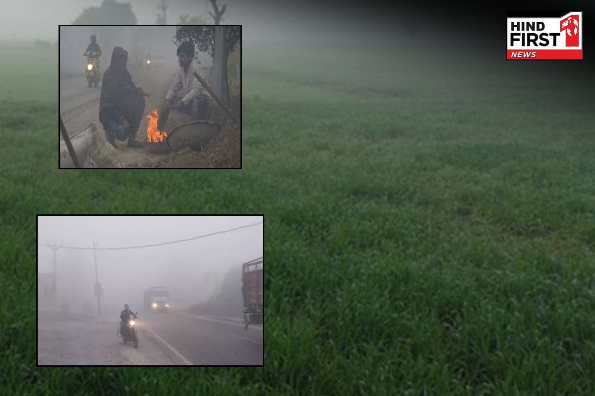 Today Weather Report: सर्दी का सितम जारी!, कई इलाकों में छाया कोहरा Today Weather Report: सर्दी का सितम जारी!, कई इलाकों में छाया कोहरा