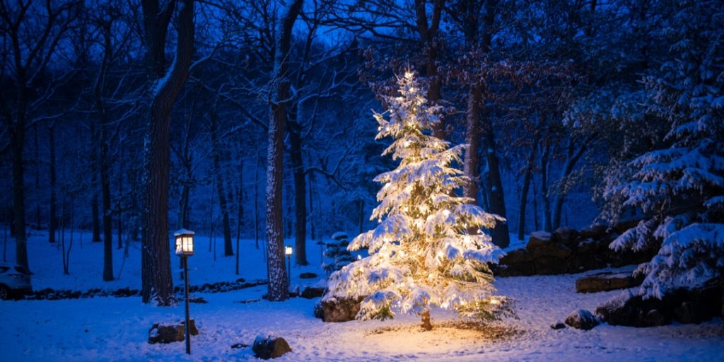 Christmas 2025: क्रिसमस 25 दिसंबर को ही क्यों मनाया जाता है, जानें इसका धार्मिक महत्व  