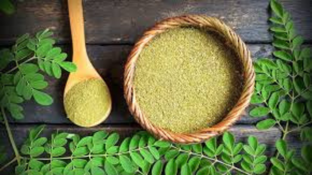 Moringa Side Effects: मोरिंगा भी नहीं रहा सेफ, टेस्ट में पाउडर उत्पादों में पाए गए साल्मोनेला और अन्य हानिकारक बैक्टीरिया   