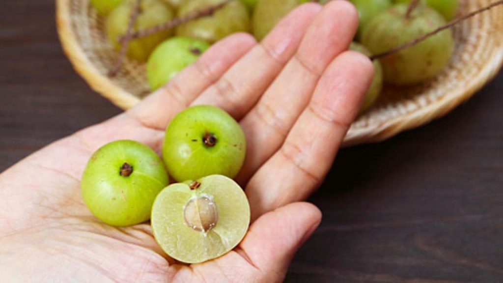   Amla Side Effects: सर्दियों की जान आंवले का सेवन भूलकर भी नहीं करना चाहिए इन्हें 