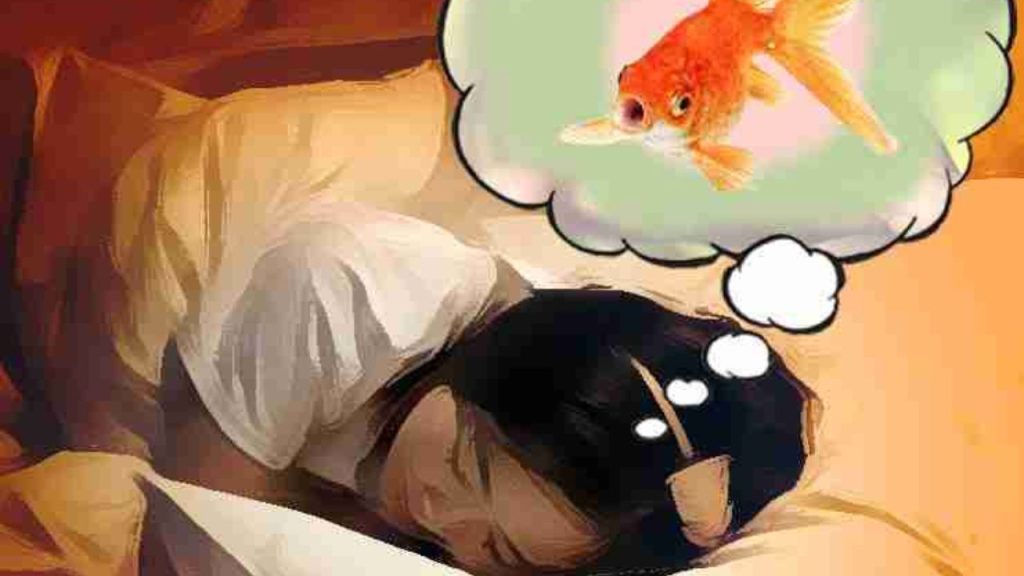   Dream Astrology: सपनों में दिखाई दें ये चीजें तो होती है धन की प्राप्ति, मिलेगा प्रमोशन