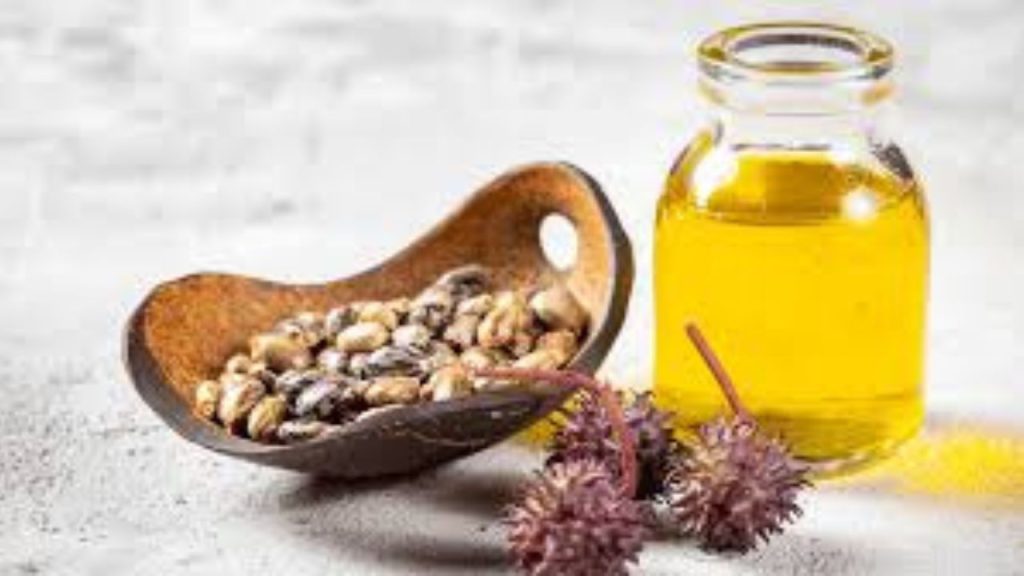  Castor Oil Benefits: बालों को रखना है स्वस्थ तो जरूर करें अरंडी तेल का इस्तेमाल 