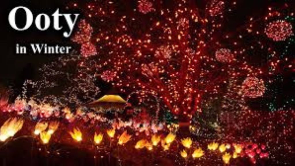   Christmas 2025 Trip: क्रिसमस में परिवार के जाने के लिए ये 5 जगहें हैं परफेक्ट 