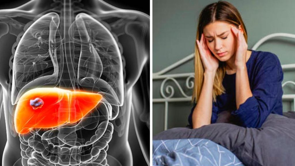 Fatty Lever Symptoms: लक्षणों को मामूली समझने की ना करें भूल हो सकते हैं फैटी लिवर के संकेत