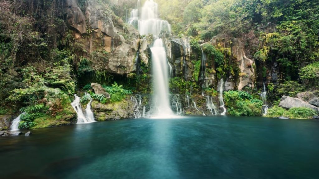     Dream Astrology: सपनों में दिखाई दें ये चीजें तो होती है धन की प्राप्ति, मिलेगा प्रमोशन