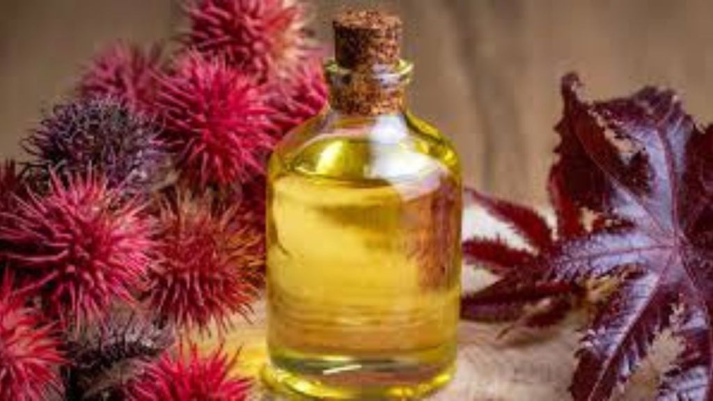  Castor Oil Benefits: बालों को रखना है स्वस्थ तो जरूर करें अरंडी तेल का इस्तेमाल 
