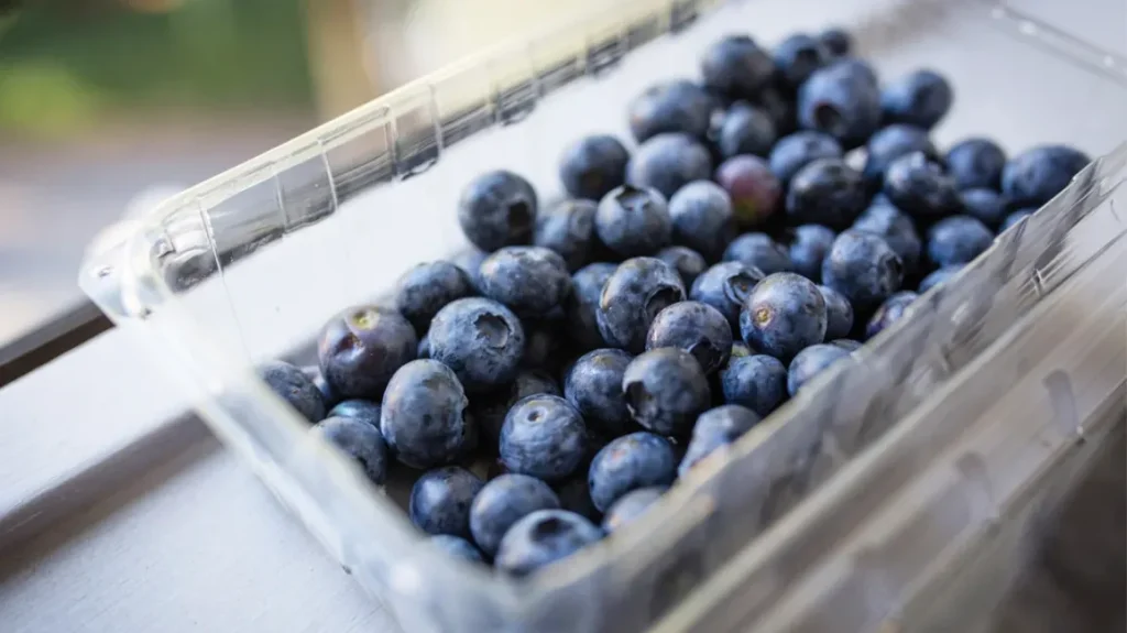 Winter Superfoods: सर्दियों के पांच सुपरफूड जो दिल, दिमाग और मांसपेशियों को बनाते हैं बेहतर