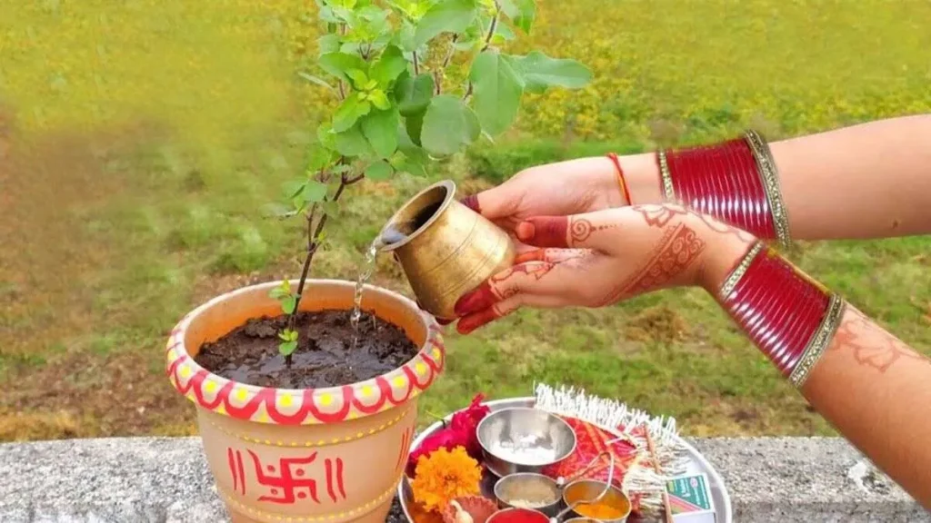 Tulsi Pujan Diwas 2025: तुलसी पूजन दिवस आज, जानें तुलसी पूजा का अनुष्ठान और आध्यात्मिक महत्व  