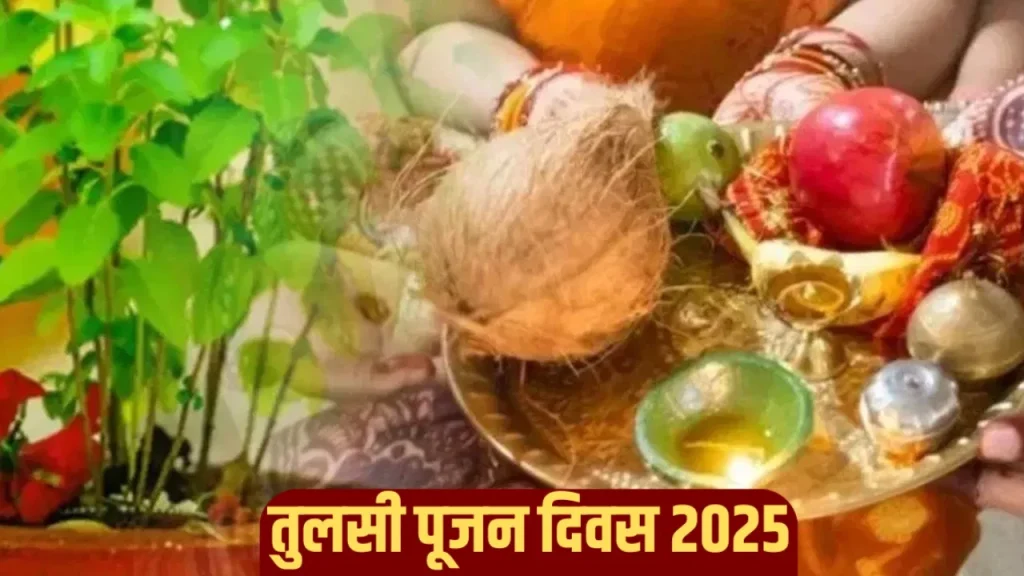 Tulsi Pujan Diwas 2025: तुलसी पूजन दिवस आज, जानें तुलसी पूजा का अनुष्ठान और आध्यात्मिक महत्व  